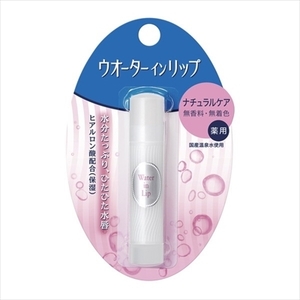 Fine Today Water in Lip Medicated Stick Natural Care 3.5g